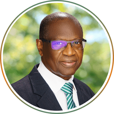 Chief Calistus N.C Nweke